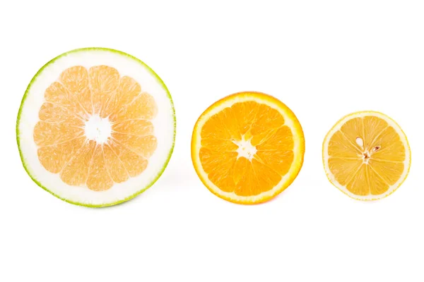 Sweetie, orange and lemon — Stockfoto