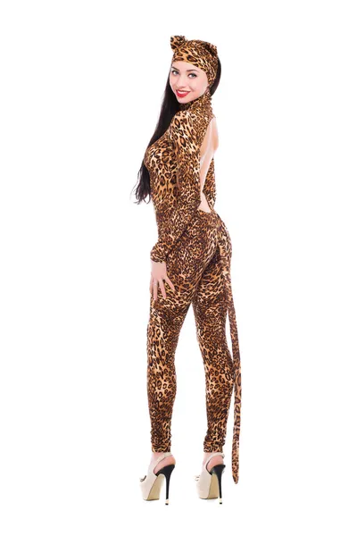 Красивая женщина в костюме леопарда — стоковое фото