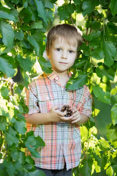 Nice little boy — Stock Photo, Image