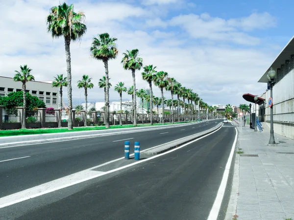Road with palm trees — Stock Photo, Image