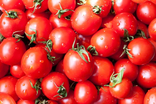 Fresh tomatoes — Stock Photo, Image