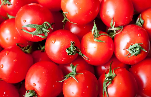 Fresh tomatoes — Stock Photo, Image