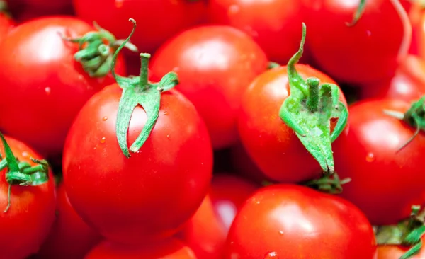 Fresh tomatoes — Stock Photo, Image