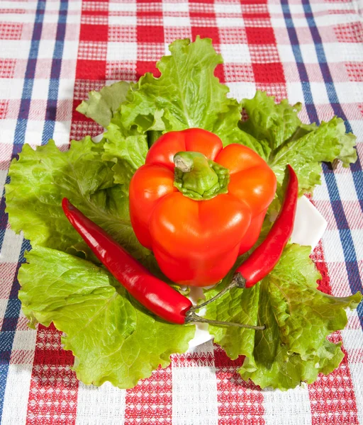 Pimientos dulces y picantes — Foto de Stock