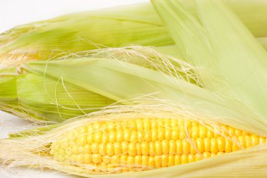 Olgun lezzetli mısır.