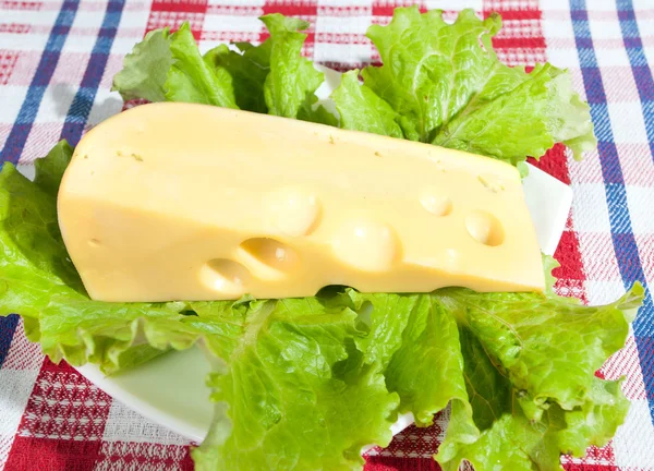 Käse und Salat — Stockfoto