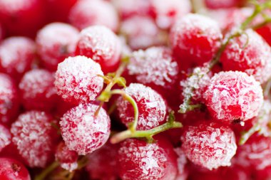 Frenk üzümü böğürtlen dondurulmuş.