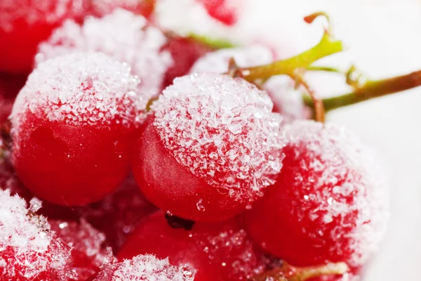 Frozen red currant berries. — Stock Photo, Image