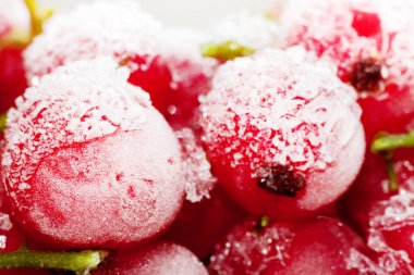 Frenk üzümü böğürtlen dondurulmuş.