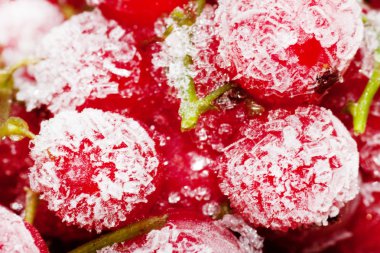 Frenk üzümü böğürtlen dondurulmuş.