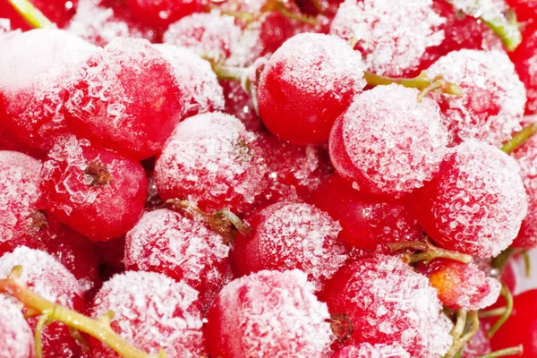 Bayas de grosella roja congeladas . — Foto de Stock