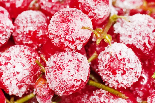 Frozen red currant berries. — Stock Photo, Image