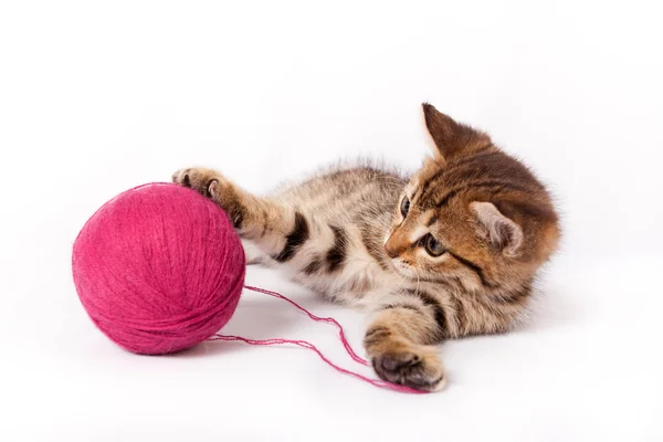 Tabby gatito jugando con una bola de hilo —  Fotos de Stock