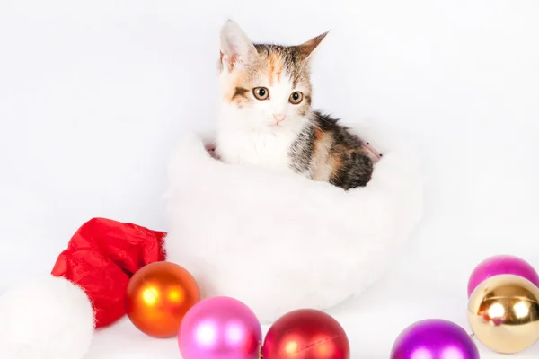 Poesje in een kerstmuts en Kerstmis ballen. — Stockfoto