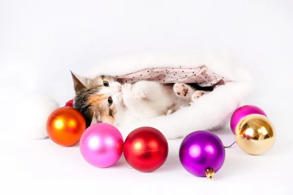 Kotě v čepici santa a vánoční koule. — Stock fotografie