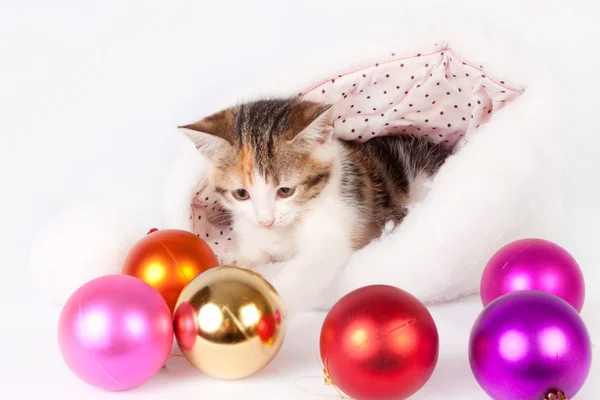 Kitten in a Santa hat and Christmas balls. — Stock Photo, Image