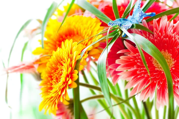 Bouquet lumineux, fleurs de chrysanthème — Photo