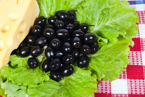 Black olives, lettuce and cheese. — Stock Photo, Image