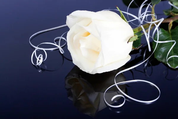 Άσπρα τριαντάφυλλα — Φωτογραφία Αρχείου