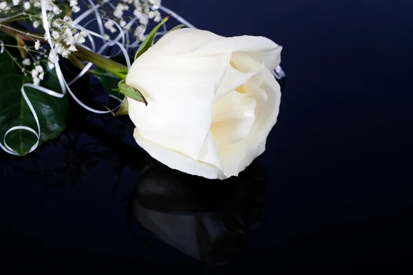 Witte rozen — Stockfoto