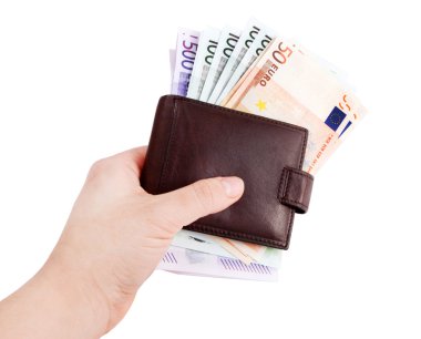 deri cüzdan ve Avrupa para, euro