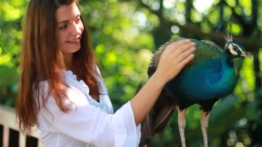 kız ve tavus kuşu Wild park.