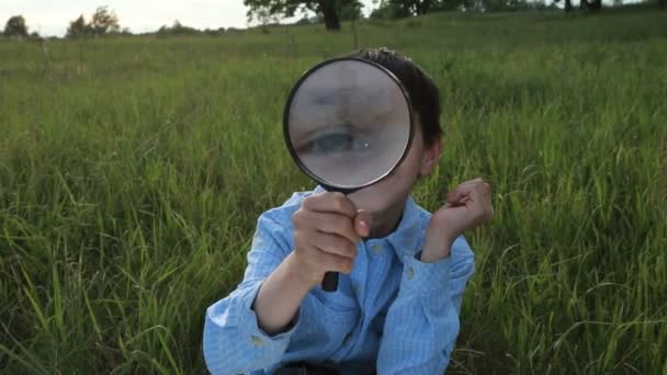 Boy with magnifying glass lying on the grass — Stock Video