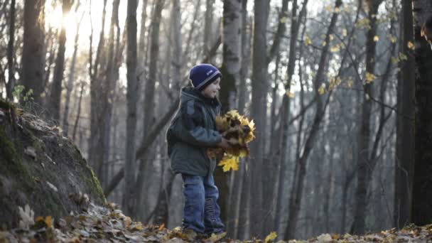 Мальчик играет с листьями в лесу — стоковое видео