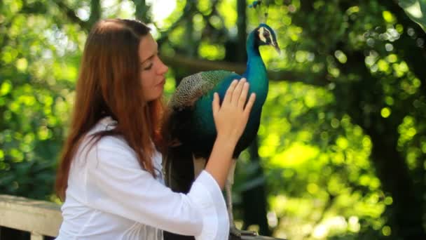 Wildpark met meisje en peacock. — Stockvideo