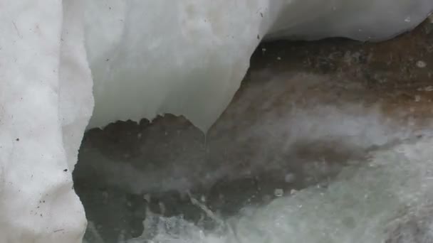 Ruscello di montagna durante l'inverno — Video Stock