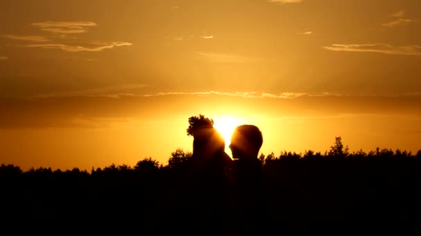 Silhouette, incontro, famiglia — Video Stock