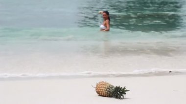 plaj sahnesi. ananas.