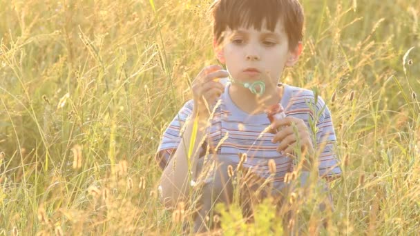 Мальчик, пускающий пузыри в поле — стоковое видео