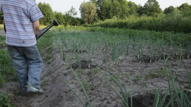 De jongen wateren een planten — Stockvideo