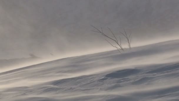 DRIFTING SNOW — Stock Video