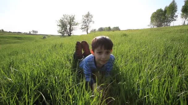 Pojken ligger i gräset. sommar. — Stockvideo