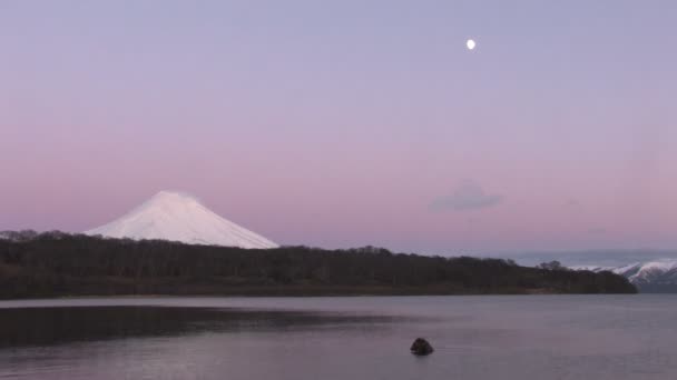BEAR, THE VOLCANO AND THE MOON. — Stock Video