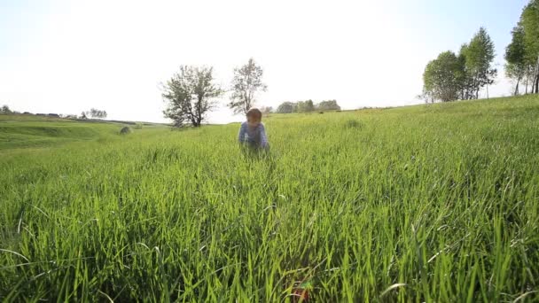 Yeşil çimenlerin üzerinde çalışan çocuk — Stok video