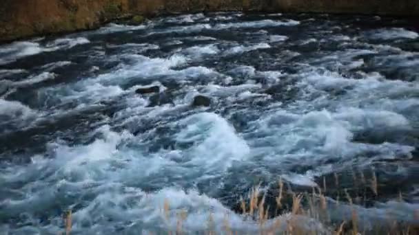 Der Waldfluss. — Stockvideo