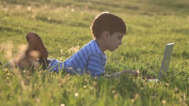 Boy použití jeho laptop venkovní v parku na trávě — Stock video