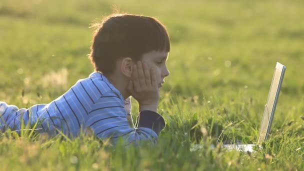 Мальчик использует свой ноутбук на открытом воздухе в парке на траве — стоковое видео