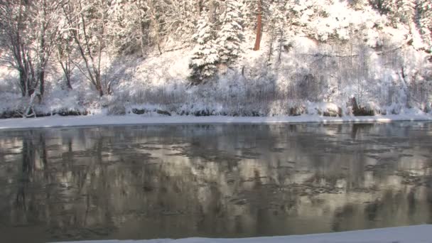 Deriva de hielo en el río — Vídeo de stock