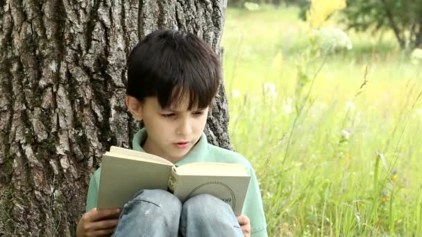 Αγόρι διαβάζει το βιβλίο εκτός — Αρχείο Βίντεο