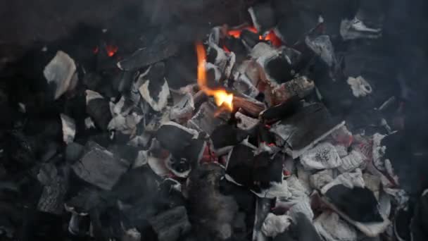 Уголь, огонь — стоковое видео