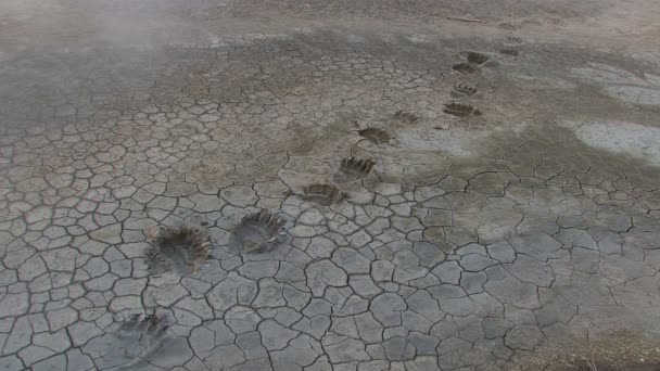 En el volcán — Vídeo de stock