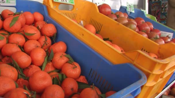 Vers fruit markt — Stockvideo