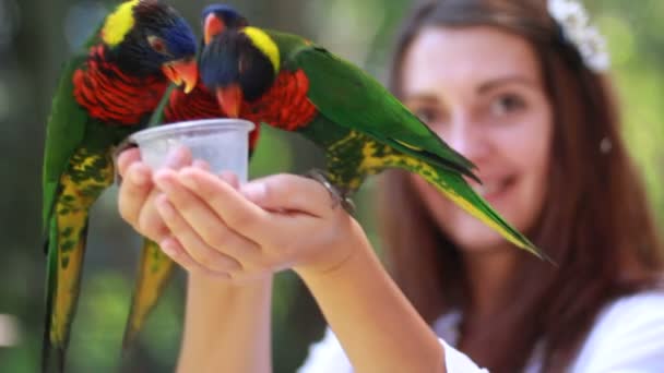 Smiling girl with colorful parrot in the jungle — Stock Video