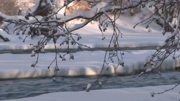 Mountain stream during winter — Stock Video