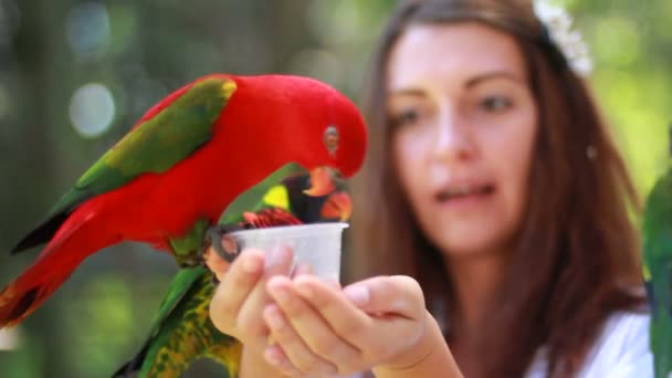 Smiling girl with colorful parrot in the jungle