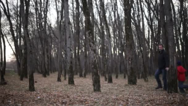 Padre e hijo jugando en el bosque — Vídeos de Stock